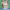 https://res.cloudinary.com/billionhands/image/upload/v1775368420/items/sjm8osfmmbtfucxb6omv.webp-3cover