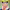 https://res.cloudinary.com/billionhands/image/upload/v1775368422/items/mw4hc4iznfogo5ugkd0w.webp-3cover