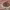 https://res.cloudinary.com/billionhands/image/upload/v1775368427/items/ddvd9zk40dsiyarctv6o.webp-0cover