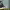 https://res.cloudinary.com/billionhands/image/upload/v1775368498/items/s2fxtvqmalslcishdev3.webp-3cover