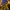 https://res.cloudinary.com/billionhands/image/upload/v1775368730/items/rk0exhhurb4m7wk2ipe0.jpg-0cover