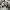 https://res.cloudinary.com/billionhands/image/upload/v1775368731/items/xyvjkycdsmeqbcrlke26.webp-3cover