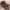 https://res.cloudinary.com/billionhands/image/upload/v1775369232/items/kk2qzcrmmbyhu7i1tjxh.webp-3cover