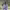 https://res.cloudinary.com/billionhands/image/upload/v1775369459/items/lws8eafruhrrkiqvumqu.avif-2cover
