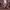 https://res.cloudinary.com/billionhands/image/upload/v1775369605/items/jdyw9nlhad6cnza023su.webp-3cover
