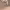 https://res.cloudinary.com/billionhands/image/upload/v1775369655/items/dv2yxaqn415krutslzth.webp-0cover
