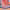 https://res.cloudinary.com/billionhands/image/upload/v1775369656/items/yixbhx9dt5oav0bdrgq9.jpg-3cover