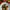 https://res.cloudinary.com/billionhands/image/upload/v1775369897/items/ymtwa2f0isdktuste6sj.webp-2cover