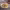 https://res.cloudinary.com/billionhands/image/upload/v1775371184/items/eyi0uvpw51vtpo2poft5.avif-3cover