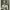 https://res.cloudinary.com/billionhands/image/upload/v1775371294/items/uojiinnsiofr8aoaegrd.jpg-2cover