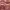 https://res.cloudinary.com/billionhands/image/upload/v1775371304/items/mi4qtgzs1i4o2pae6eh8.webp-2cover
