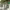 https://res.cloudinary.com/billionhands/image/upload/v1775371340/items/n14vn5zqqmpgis9klrkg.png-2cover