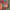 https://res.cloudinary.com/billionhands/image/upload/v1775371651/items/wpvplnrysdmcpp2mhqpp.webp-2cover