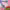 https://res.cloudinary.com/billionhands/image/upload/v1775371842/items/ujxrcxxfzb7adciknovo.png-2cover