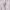 https://res.cloudinary.com/billionhands/image/upload/v1775371968/items/gouty1z2vapfpbmsukr7.jpg-0cover