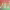 https://res.cloudinary.com/billionhands/image/upload/v1775372067/items/wargbqts8clqsdu1bwkz.jpg-2cover