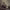 https://res.cloudinary.com/billionhands/image/upload/v1775372080/items/jf2ixzmfmziwdr06nj8p.jpg-0cover
