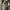 https://res.cloudinary.com/billionhands/image/upload/v1775372084/items/qcjjo49rbthnvdlpqrj5.jpg-3cover