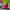https://res.cloudinary.com/billionhands/image/upload/v1775372996/items/ixhac6zcdiynk3ycqsz8.jpg-0cover