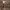 https://res.cloudinary.com/billionhands/image/upload/v1775373145/items/vb0uhc9ncixosg5il8dg.jpg-1cover