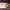 https://res.cloudinary.com/billionhands/image/upload/v1775373341/items/ri30quku9z70k8gc3xzy.jpg-3cover