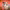 https://res.cloudinary.com/billionhands/image/upload/v1775373349/items/fhduqdgysk6wajd2zt1o.webp-2cover