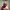 https://res.cloudinary.com/billionhands/image/upload/v1775373401/items/ja1irznwlxkfhrnqkvsc.jpg-3cover