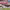 https://res.cloudinary.com/billionhands/image/upload/v1775373555/items/l3wocjp2hqztqmsecq0g.webp-2cover