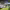 https://res.cloudinary.com/billionhands/image/upload/v1775373559/items/c22ag8urik1cv9keaclf.webp-3cover