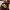 https://res.cloudinary.com/billionhands/image/upload/v1775373893/items/wmqv7scmnqmzzqjqynqv.jpg-1cover