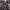 Apple: Resonating Memories (2024) cover