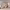https://res.cloudinary.com/billionhands/image/upload/v1775374790/items/pzed2tespksobubrek5c.avif-3cover