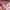 https://res.cloudinary.com/billionhands/image/upload/v1775374873/items/gfkxfu6tc023abkuntrv.jpg-0cover