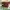 https://res.cloudinary.com/billionhands/image/upload/v1775375152/items/rnwbj971x4qcmhyrj0cx.avif-1cover