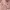 https://res.cloudinary.com/billionhands/image/upload/v1775375183/items/nucwpfobjkmnrwqk9vcd.avif-2cover