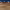 https://res.cloudinary.com/billionhands/image/upload/v1775375456/items/gpseftxpl38dounk1bdb.jpg-1cover