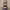 https://res.cloudinary.com/billionhands/image/upload/v1775375456/items/rdjlli4w4dkghba0iamg.jpg-1cover