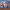 https://res.cloudinary.com/billionhands/image/upload/v1775375463/items/c5poctd6pz7tdvy0yjor.jpg-2cover