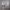 https://res.cloudinary.com/billionhands/image/upload/v1775375588/items/nujsz6vgdhtmq3imxjbp.webp-2cover