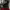 https://res.cloudinary.com/billionhands/image/upload/v1775375699/items/nfxbfmxpejvzv5oawpo3.jpg-0cover