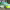 https://res.cloudinary.com/billionhands/image/upload/v1775375750/items/jcovixjgnt2nzte1tocj.webp-3cover