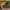 https://res.cloudinary.com/billionhands/image/upload/v1775375973/items/gp3zndzaaej5a8rhpvqc.jpg-0cover