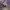 https://res.cloudinary.com/billionhands/image/upload/v1775376528/items/mi6ip5kpbncy0w453pif.webp-1cover
