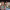 https://res.cloudinary.com/billionhands/image/upload/v1775376530/items/t4kixmottfagodaret4r.jpg-0cover