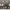 https://res.cloudinary.com/billionhands/image/upload/v1775376701/items/cd7131inhyw5gc1xwfn3.jpg-2cover