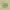 https://res.cloudinary.com/billionhands/image/upload/v1775376891/items/kwpidztyjl00vswpu4p6.png-3cover