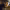 https://res.cloudinary.com/billionhands/image/upload/v1775376897/items/vi4swfdytoqisdl7heg5.jpg-0cover