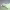 https://res.cloudinary.com/billionhands/image/upload/v1775376941/items/nyo0nnklpxw9awsex1dx.png-3cover