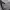 https://res.cloudinary.com/billionhands/image/upload/v1775377088/items/pvrggjy7nnxvx8quwfw2.jpg-3cover