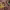 https://res.cloudinary.com/billionhands/image/upload/v1775377297/items/vjxixfqzogmodxuvqrq5.jpg-0cover